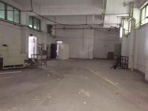 外資廠房驗(yàn)廠檢測(cè)鑒定報(bào)告高效出具指南